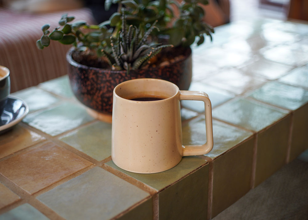 Holm Stability Mug