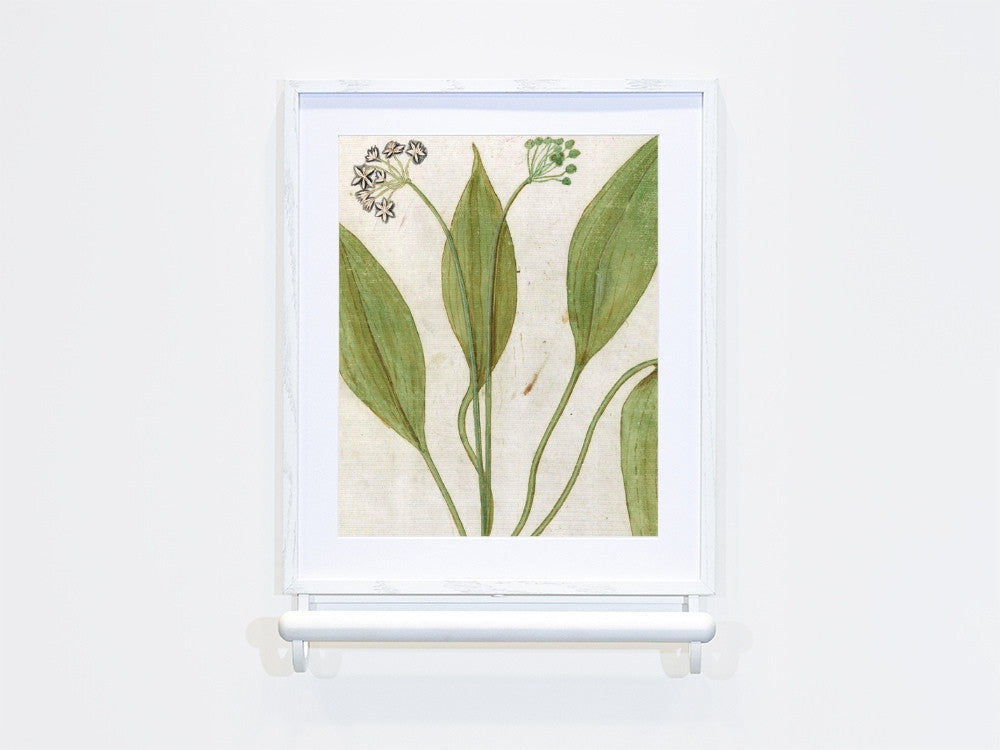 Selora Grab Bar in White with an image of a plant in the frame